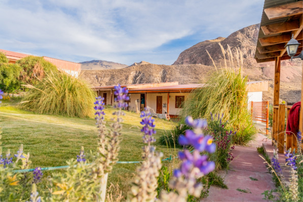 Journey to Arica - National Park Lauca - Salt Lake Surire - National Park Volcano Isluga - Colchane - Iquique (4 days/ 3 nights)